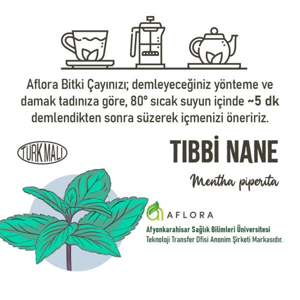 Tıbbi Nane - Görsel 7